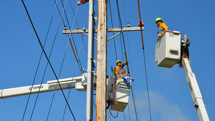 Two public workers working on utility poles